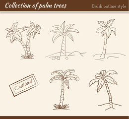 Palm Tree Collection