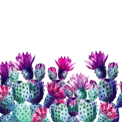 Crédence de cuisine en verre imprimé Nature aquarelle Cactus aquarelle
