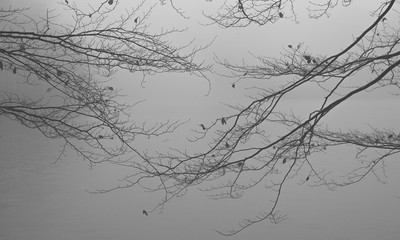 Fototapeta premium Autumn background