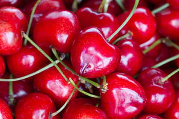 Large fruits of cherry. Dessert.