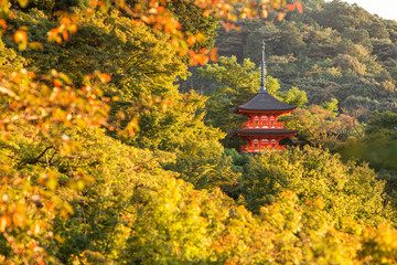 Obraz premium Red Pagoda at Kiyomizu-dera Temple with colorful red leaves , Kyoto, Japan