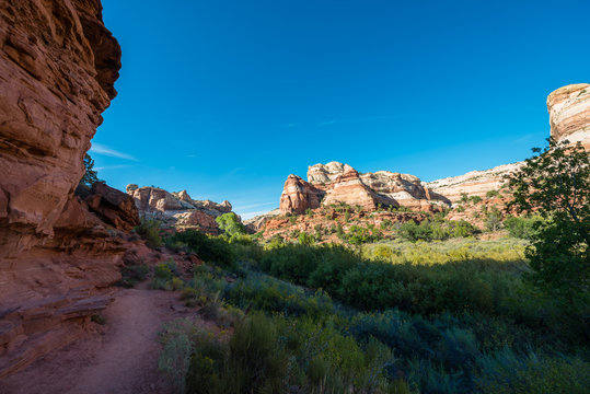 Trail to Calf Creek Falls