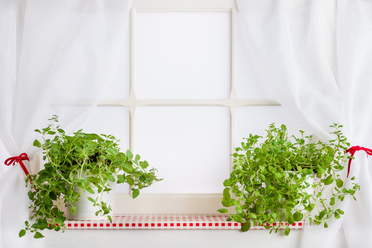 kitchen window and herbs on the windowsill, background