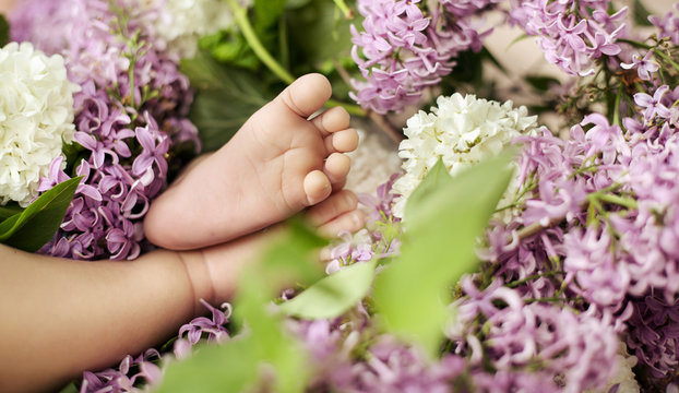 Little feet among colorful flowers