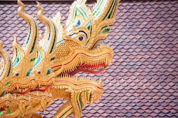 many heads of dragon