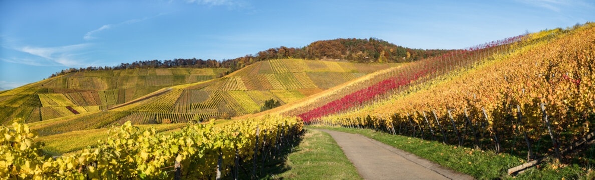 Panorama Kappelberg