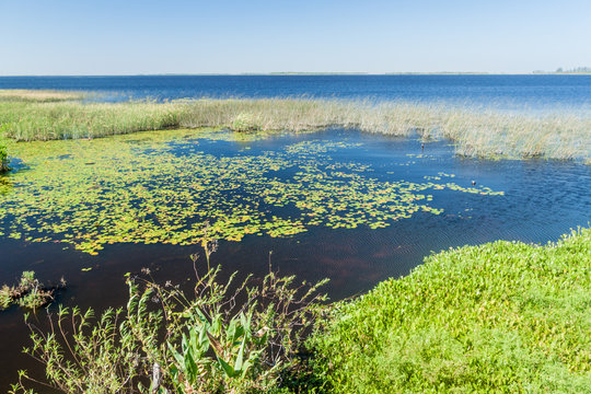 Wetlands in Nature Reserve Esteros del Ibera, Argentina