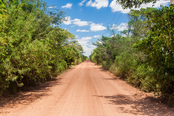 Fototapeta na wymiar Country road in Nature Reserve Esteros del Ibera, Argentina