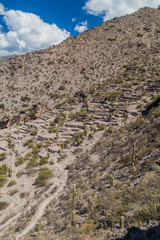 Ruins of pre-Inca city Quilmes, Argentina