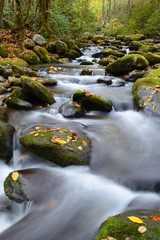 Fototapeta na wymiar White water stream in the Smokies in fall colors.