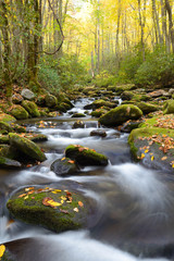 Naklejka na ściany i meble Fall colors surround a stream in The Great Smoky Mountains.