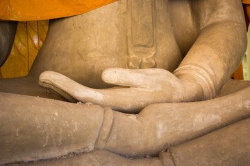 buddha's hand