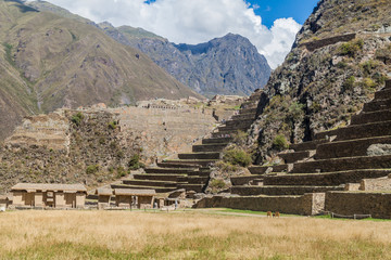 Inca's ruins in Ollantaytambo, Sacred Valley of Incas, Peru