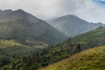 National Park Podocarpus in southern Ecuador