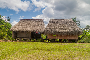 Traditional house in village Pantoja in Loreto region of Peru - obrazy, fototapety, plakaty