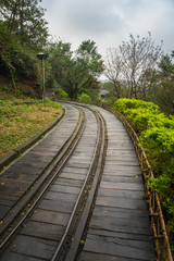 Railway Tracks Through a Forest