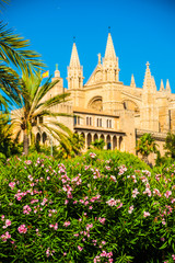 Cathedral of Palma de Mallorca.  © romas_ph