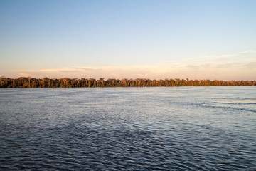 Obraz premium Jungle along Amazon river in Brazil