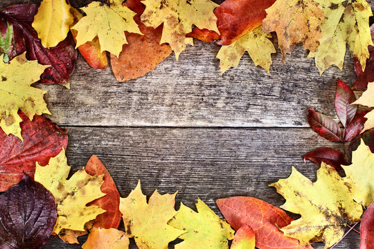 Rustic Autumn Leaves Background