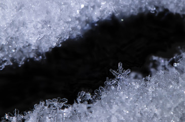 Macro Real Snowflake Close Up on Snowdrift in Winter Weather