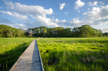 Obraz premium Long Wooden Walking Path through Estuary in Summer - Peaceful Nature Trail on Marsh