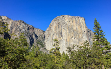 Naklejka premium El Capitan rock at Yosemite National Park.