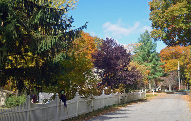 Country Land in Colorful Autumn Regalia