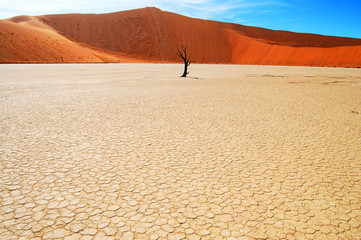 Mudcracks - Sossusvlei - Namibia