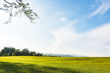 Green field and blue sky with white clouds
