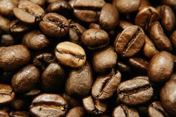 Coffee beans