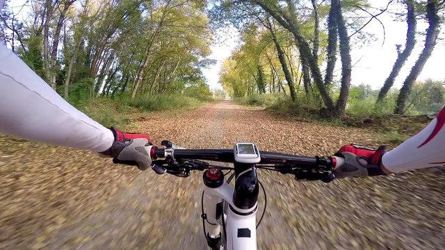 riding in the woods on a road covered with leaves
