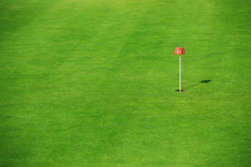 Green grass in golf course