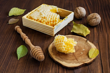 Honeycomb with nuts and fall leaves