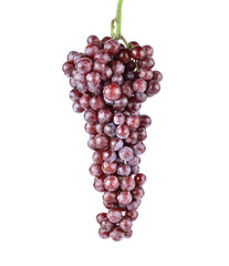 fresh red grape isolated on white background