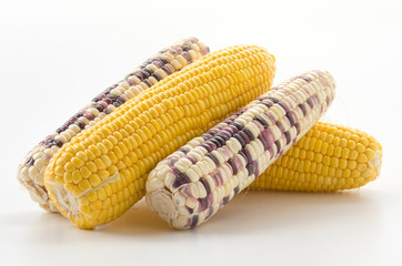 fresh corn