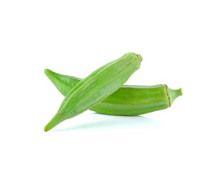 green roselle on white background