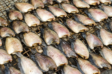 Dried fishs