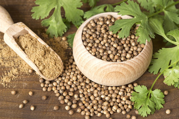 Coriander seeds and leaves