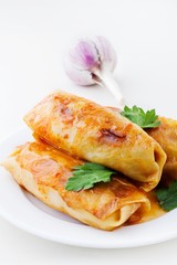 stuffed cabbage on a white background