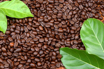 Coffee bean on wood background