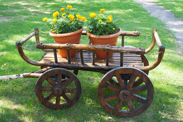 Rustic wagon with flowers © Dmitry Grushin