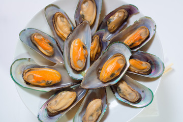 Braised sea mussels