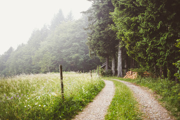 Countryside landscape with country road in foggy mountain forest and field in summer. Scenic...