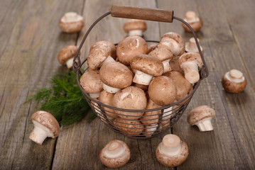 Royal mushrooms in a basket