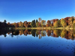 Fototapeta premium See vor Wald im Goldenen Herbst