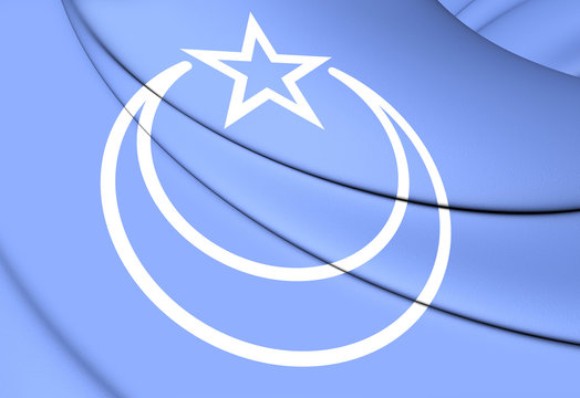 Flag of Second East Turkestan Republic