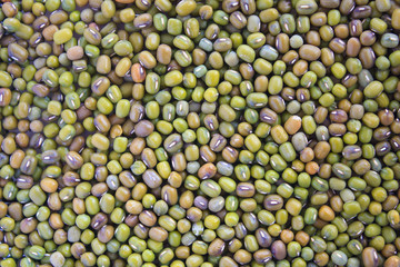 Green bean or mung bean background