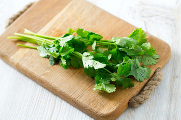 cilantro over wood