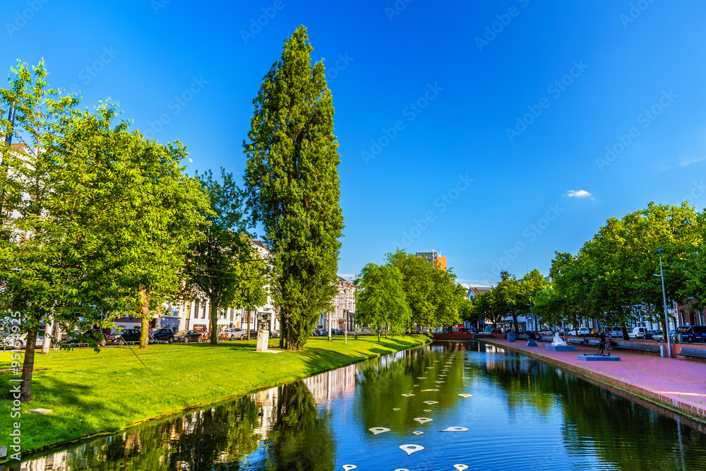 Wall mural Pond in a park - Rotterdam, the Netherlands