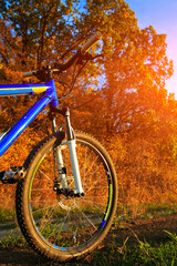 Fototapeta premium Mountain bicycle at sunny evening